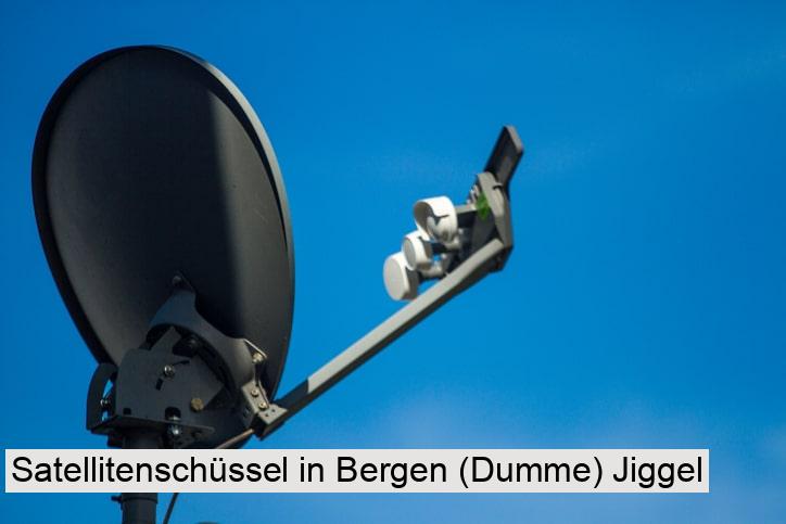 Satellitenschüssel in Bergen (Dumme) Jiggel